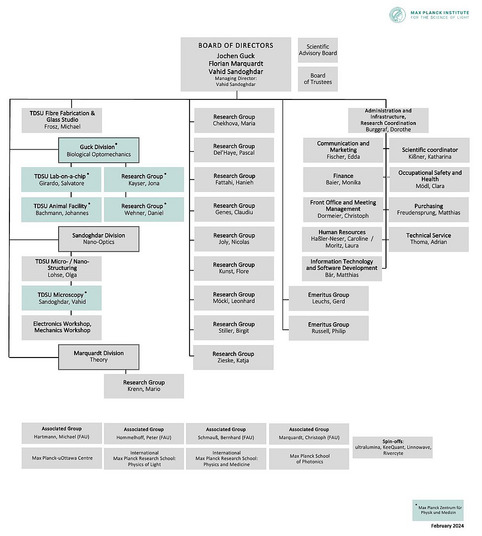 Organisation Chart 